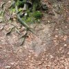 07 Aktion Juli - Freizeit 23